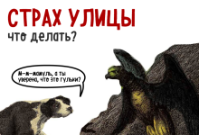 Photo of Истории о страхе перед животными